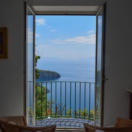 Il Giardino Selvatico Di Succellario - Apartments Barano d'Ischia Ngoại thất bức ảnh