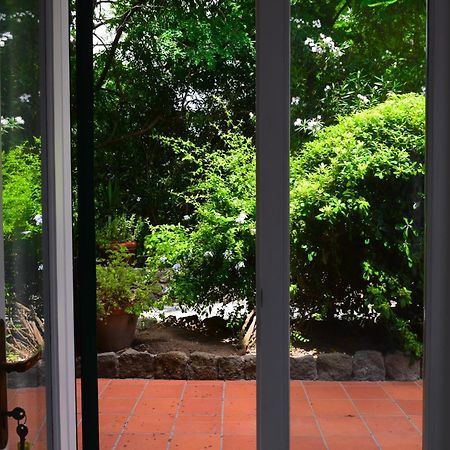 Il Giardino Selvatico Di Succellario - Apartments Barano d'Ischia Ngoại thất bức ảnh