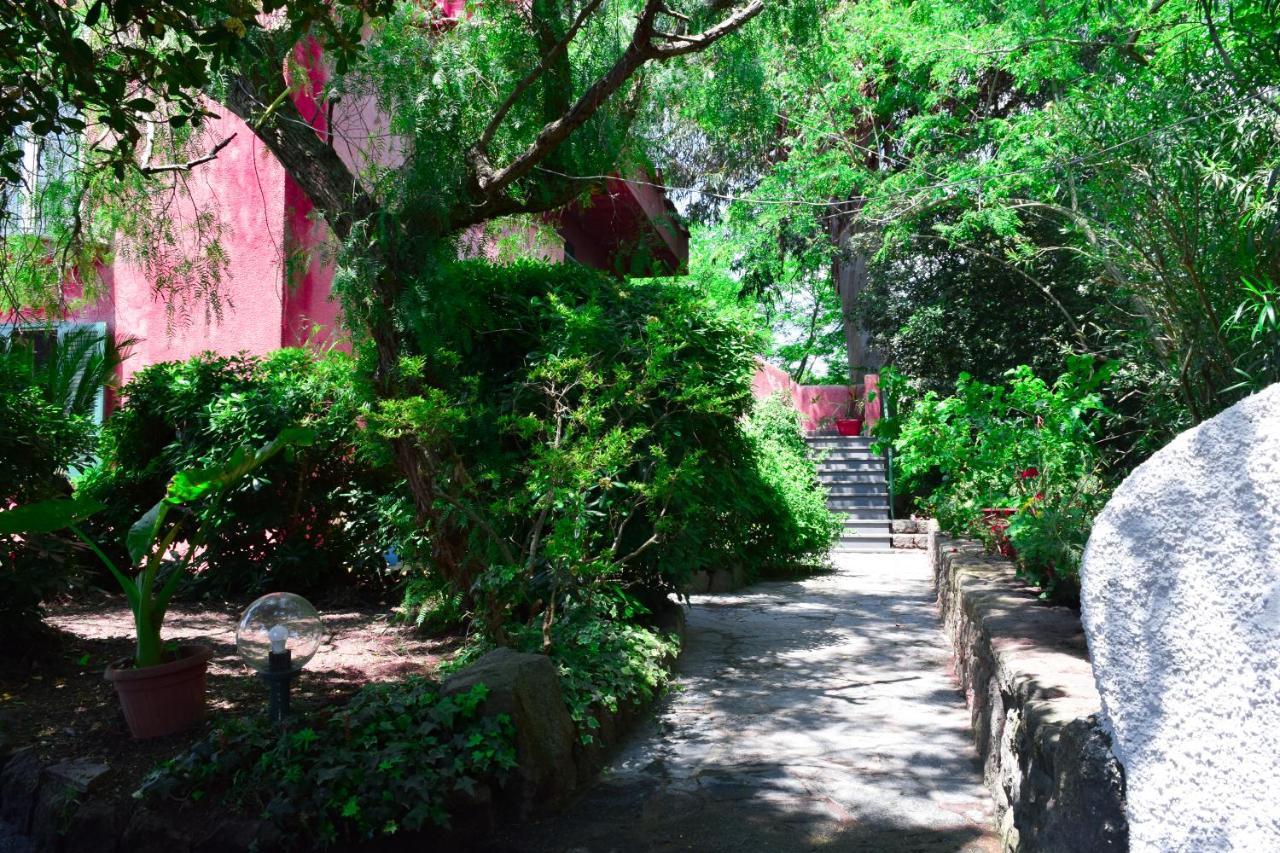 Il Giardino Selvatico Di Succellario - Apartments Barano d'Ischia Ngoại thất bức ảnh