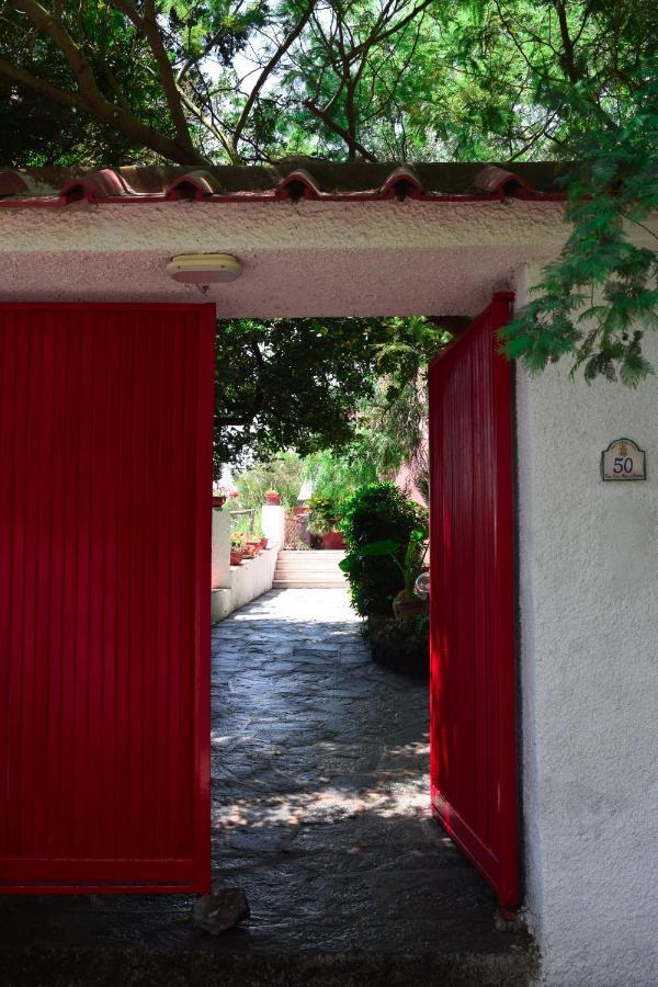Il Giardino Selvatico Di Succellario - Apartments Barano d'Ischia Ngoại thất bức ảnh
