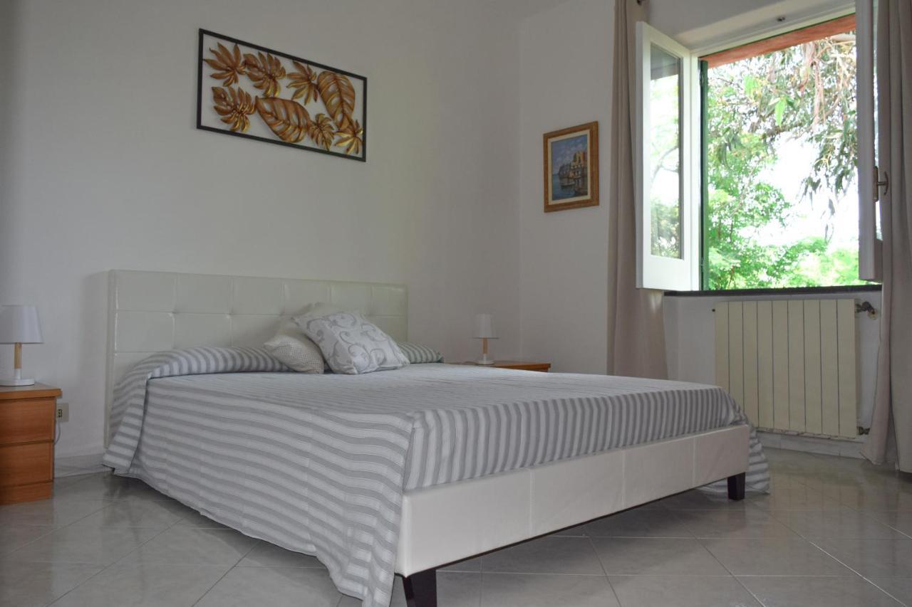 Il Giardino Selvatico Di Succellario - Apartments Barano d'Ischia Ngoại thất bức ảnh
