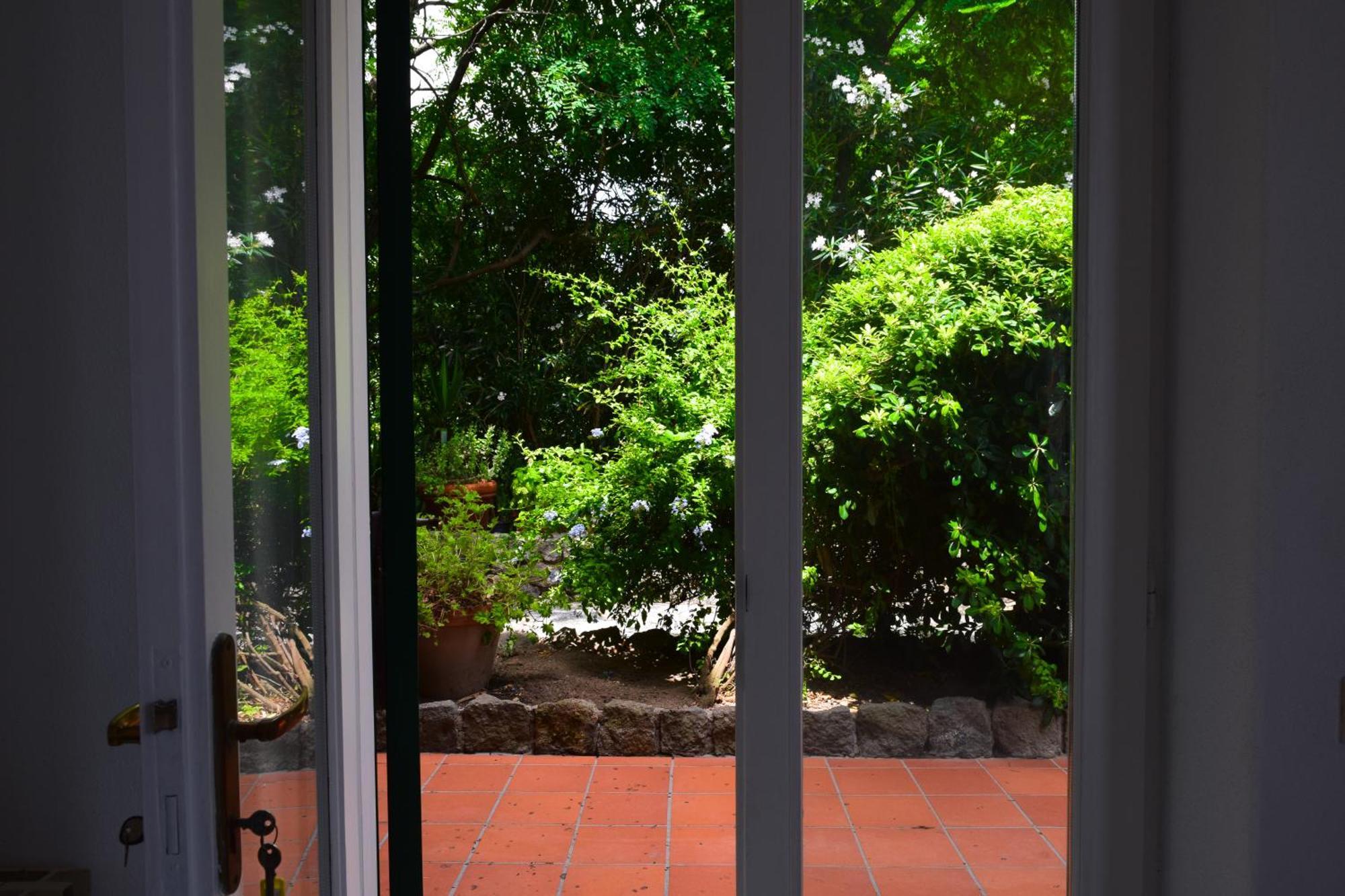 Il Giardino Selvatico Di Succellario - Apartments Barano d'Ischia Ngoại thất bức ảnh
